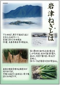 岩津ねぎポスター02